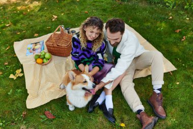 Parktaki yeşil çimlerde piknik yapan ve tatlı Corgi sosislilerine sarılan neşeli çiftin en iyi görüntüsü.