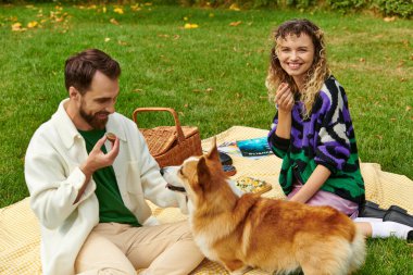 Mutlu çift lezzetli incir yiyor ve parktaki yeşil çimlerde şirin Corgi sosisliyle piknik yapıyor.
