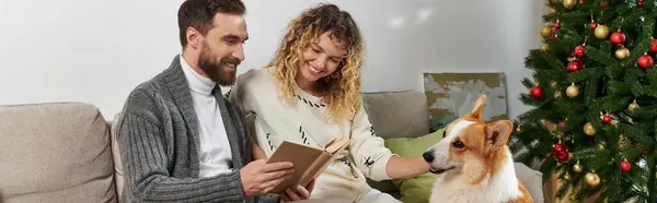 Pankart, koltukta oturan mutlu çift Corgi dog ve Noel ağacının yanında kitap okuyor.