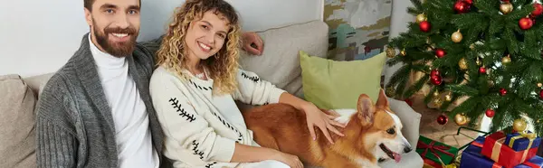 Mutlu çift kanepede oturuyor ve süslü Noel ağacının yanında Corgi sosisine sarılıyor.