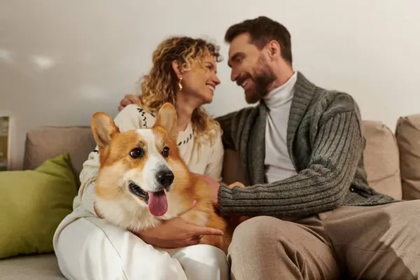 Pareja Traje Invierno Sonriendo Jugando Con Perro Corgi Apartamento Moderno — Foto de Stock