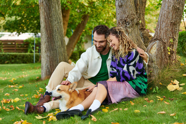 happy man hugging curly woman in cute outfit while cuddling corgi dog in park, sitting near tree