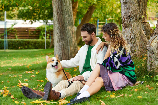 happy man and curly woman in cute outfit looking at corgi dog and sitting near tree in autumnal park