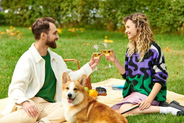 cheerful couple clinking glasses of wine while sitting on grass and having picnic with corgi dog
