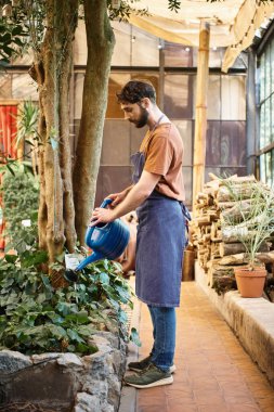 good looking and bearded gardener in denim apron watering plants in greenhouse, horticulture concept clipart