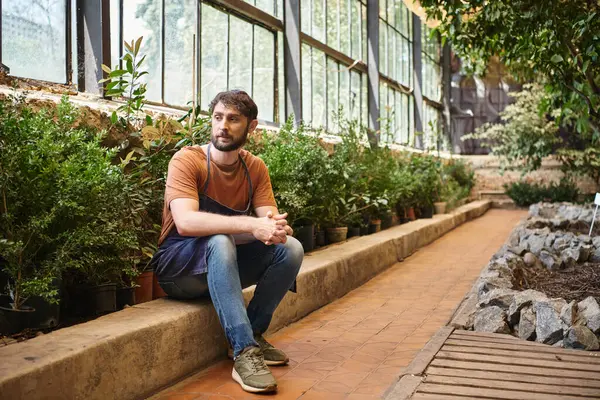 stock image handsome and bearded gardener in denim apron sitting around green leaves of plants in greenhouse