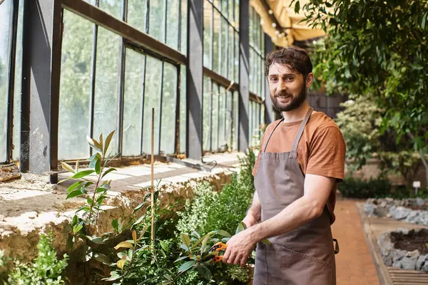 handsome and happy gardener in linen apron cutting branches of plants with secateurs in greenhouse