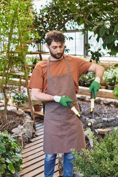 Bearded Gardener Linen Apron Trimming Green Bush Big Gardening Scissors — Stock Photo, Image