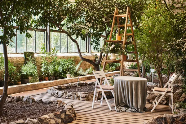 beautiful and modern greenhouse interior with wooden rack, garden chairs and round table