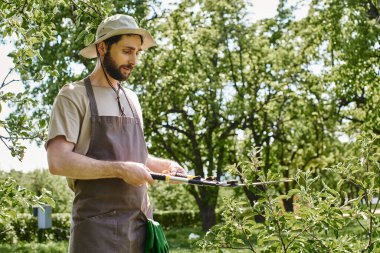 bearded gardener in sun hat trimming twigs of tree with big gardening scissors and working outdoors clipart