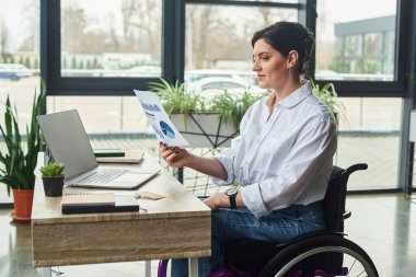 dedicated businesswoman with disability in wheelchair looking at her graphics while at office clipart