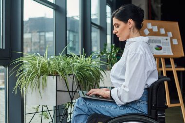Güzel görünümlü, engelli, tekerlekli sandalyedeki şık elbiseli, ofiste dizüstü bilgisayarıyla çalışan bir kadın.