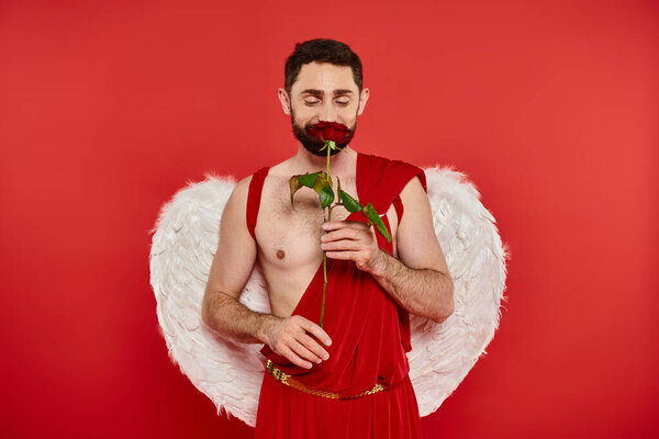 delighted man in cupid costume enjoying flavor of aromatic rose on red, Saint Valentines celebration
