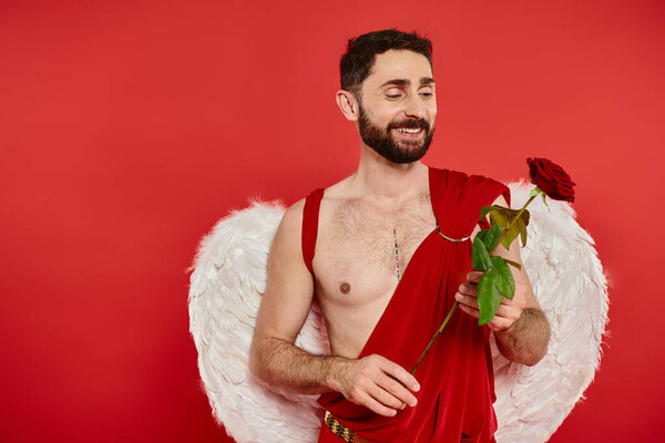cheerful bearded cupid holding fresh rose on red backdrop, st valentines day costume party
