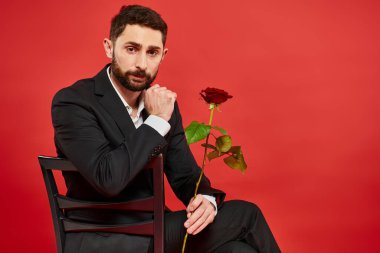 Siyah takım elbiseli şık bir adam kırmızı güllü bir sandalyede oturuyor ve Sevgililer Günü 'nde kameraya bakıyor.