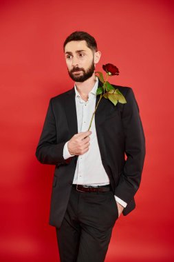 Siyah takım elbiseli rüya gibi sakallı adam kırmızı, Aziz Sevgililer Günü konseptinde el pençe divan duruyor.