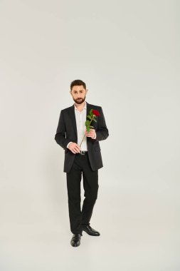 St Valentines konsepti, siyah şık takım elbiseli, kırmızı güllü, gri kameraya bakan kendine güvenen bir adam.