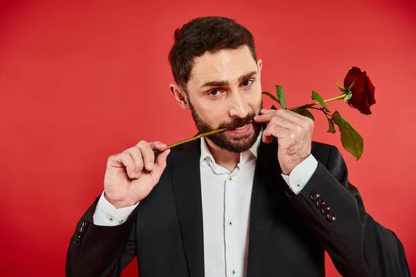 stock image expressive bearded man holding rose in teeth and looking at camera on red, st valentines concept