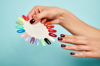 young unknown woman holding nail polish palette in hands on vibrant blue background, object photo clipart