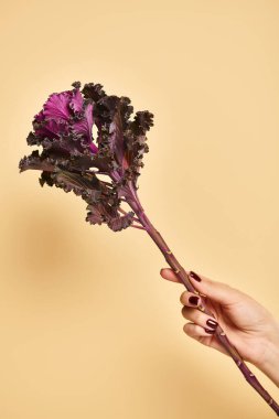 Lahana yaprağının nesne fotoğrafı. Elinde pastel arka planda tırnak cilası olan genç bir kadın var.