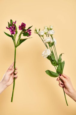 Bilinmeyen bir kadının ellerinde taze östoma ve zambak çiçekleri fotoğrafı.