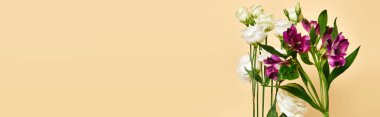 object photo of fresh blooming lilies and eustoma flowers on pastel yellow background, banner clipart
