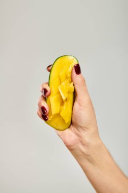 Bilinmeyen genç bir kadın model. Gri arka planda, elinde sulu, tatlı bir mango tutuyor.