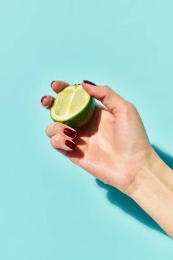 juicy citrus fresh lime in hand of unknown woman with nail polish posing with it on blue background clipart