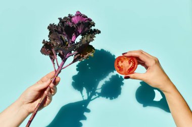 Lahana yaprağı ve küçük domatesin nesne fotoğrafı. Mavi renkli arka planda, bilinmeyen bir kadın modelin ellerinde.