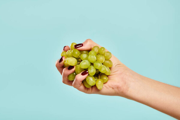 объект фото вкусного сочного зеленого винограда в руке молодой неизвестной женщины на ярком голубом фоне
