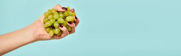 stock image object photo of fresh green grapes in hand of young unknown woman on vibrant blue backdrop, banner