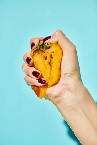 stock image unknown woman holding tight and squeezing delicious fresh persimmon on vibrant blue background