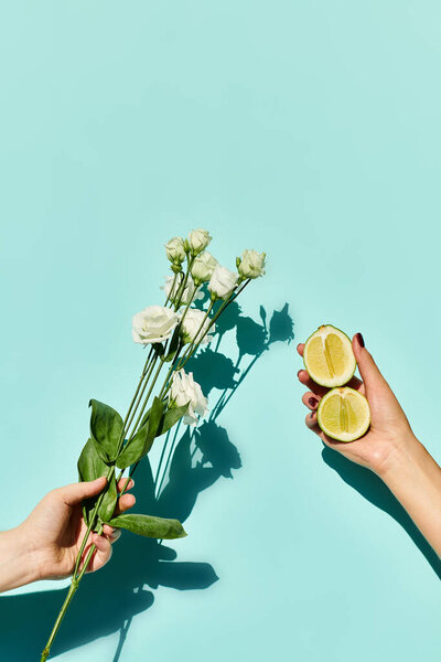 vibrant fresh eustoma and lime in hands of unknown female model posing on vivid blue backdrop