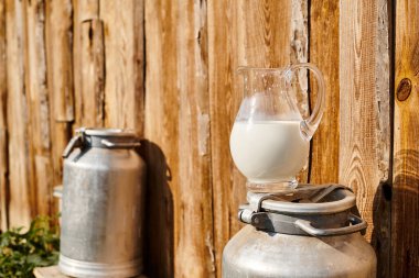 object photo of metal churn and jar of fresh milk placed outside nearby village house on modern farm clipart