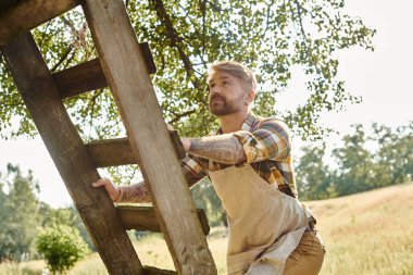 good looking bearded man with tattoos in casual attire climbing up ladder while working on his farm clipart