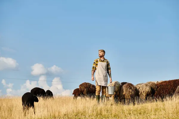 羊と子羊に囲まれたミルクでバケツを保持するひげを持つ魅力的なハードワーキング農家 — ストック写真