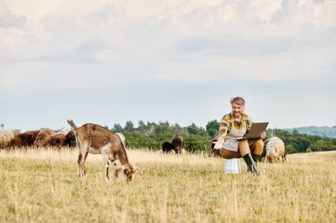 Sakallı, dizüstü bilgisayarlı, keçi ve koyun sürülerini analiz eden modern bir çiftçi.