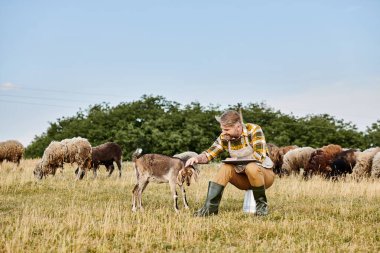 Sakallı, dizüstü bilgisayarlı, keçi ve koyun sürülerini analiz eden modern bir çiftçi.