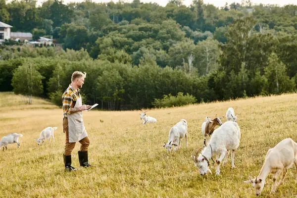 good looking modern farmer with beard and tattoos using clipboard to analyze his cattle of goats