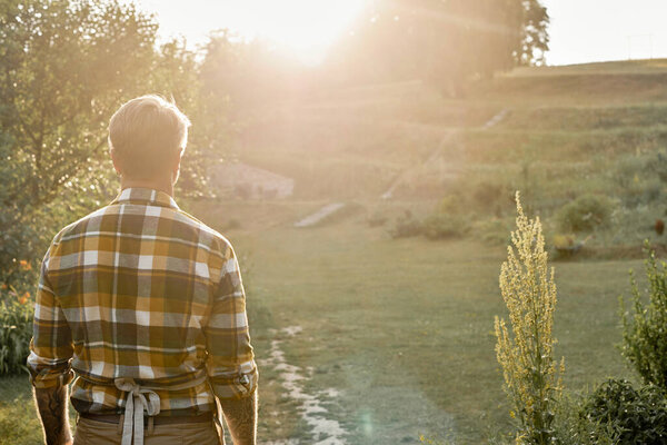 вид на современного фермера с татуировками в повседневной одежде, позирующего под солнечным светом в деревне