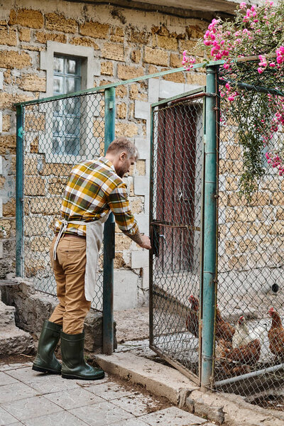handsome bearded man in casual attire with tattoos opening enclosure with chickens while on his farm