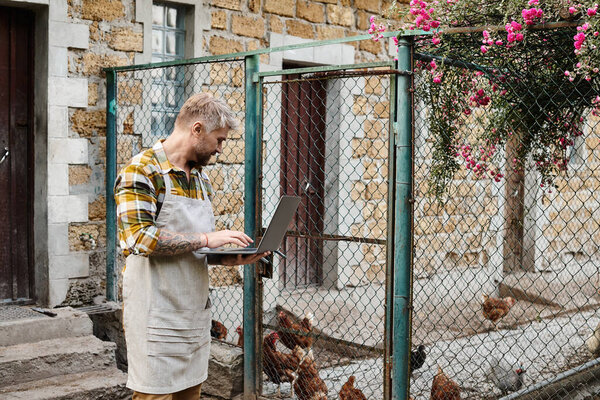 handsome bearded man in casual attire using laptop to analyze his chickens in enclosure on farm
