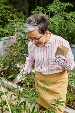 attractive jolly mature woman with glasses and gloves using gardening equipment on her flowers clipart