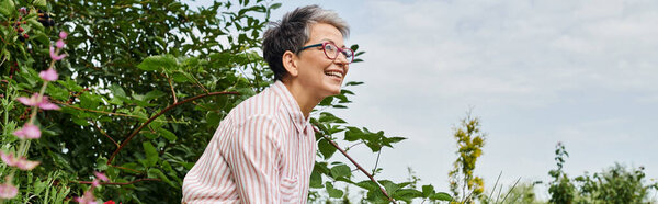 joyful mature woman in casual attire with glasses working in her garden with planting bed, banner