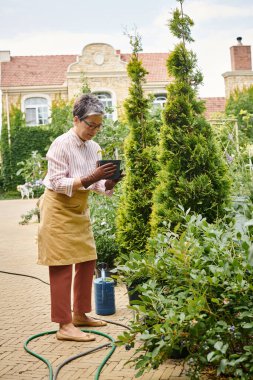 good looking jolly mature woman with glasses taking care of plant in pot in her garden in England clipart