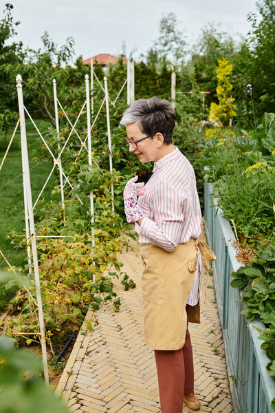 радостной привлекательной зрелой женщины в очках и перчатках, заботящейся о свежих ягодах в саду
