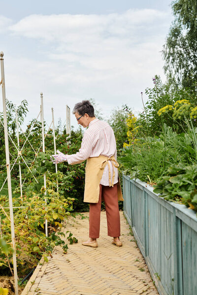 радостной привлекательной зрелой женщины в очках и перчатках, заботящейся о свежих ягодах в саду