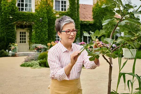 Güzel, neşeli, olgun bir kadın rahat kıyafetler içinde İngiltere 'deki evinin yakınındaki canlı çiçeklerle ilgileniyor.