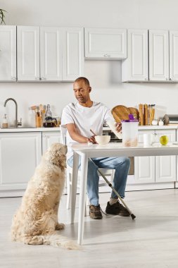Engelli bir Afrikalı Amerikalı mutfak masasında yanında sadık Labrador köpeği ile oturuyor..
