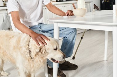 Sadık Labrador köpeğiyle aynı masada oturan özürlü bir Afrikalı Amerikalı adam çeşitlilik ve kapsama gösteriyor..